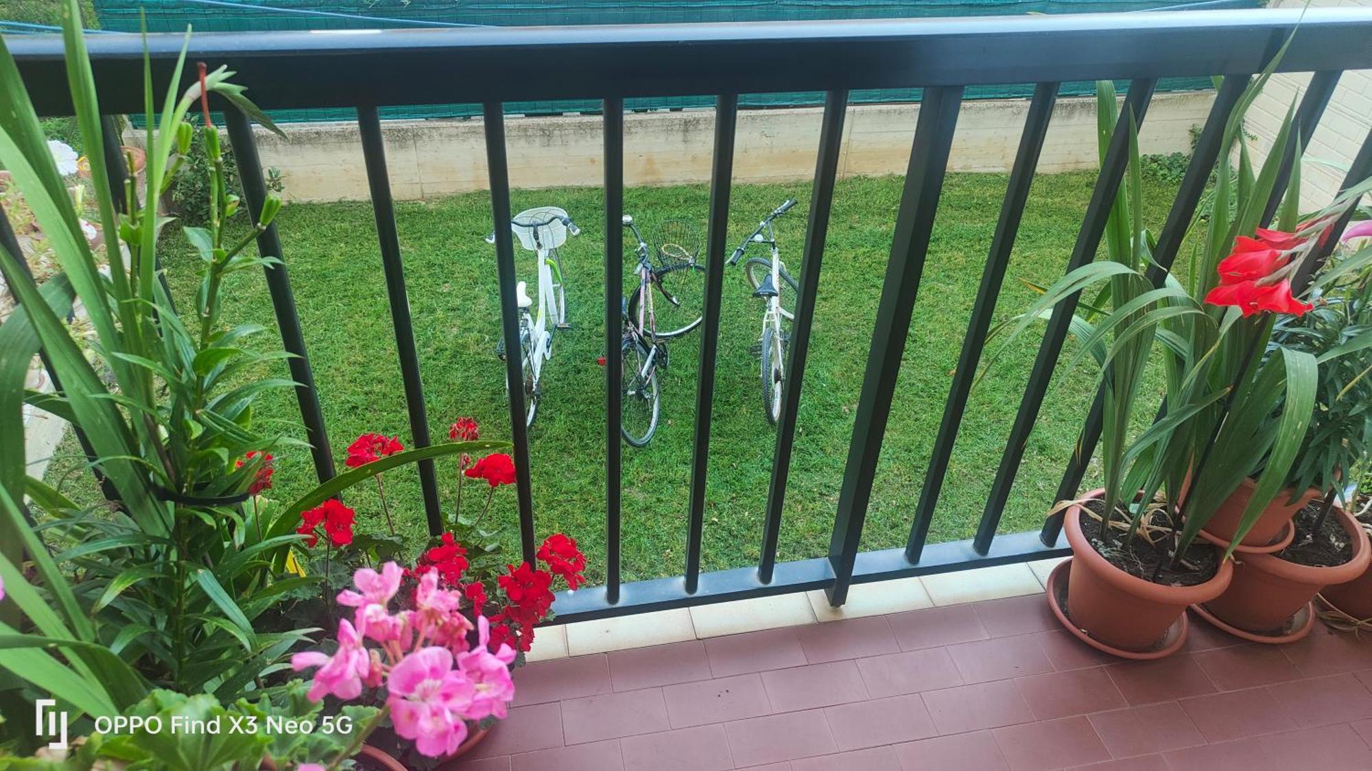 Ani Apartment Porto Sant'Elpidio Bagian luar foto